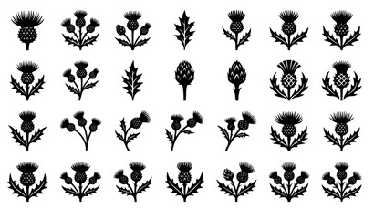 Thistle flower silhouette icon set vector isolated on white background © MdRiazul