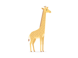 Fototapeta premium A cute cartoon giraffe illustration on a white background.