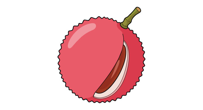 Single Red Lychee Fruit Partially Peeled Showing White Flesh and Brown Seed Illustration Isolated on White
