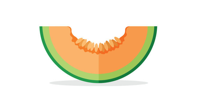 Fresh Cantaloupe Melon Slice Illustration with Orange Flesh and Green Peel Isolated on White Background