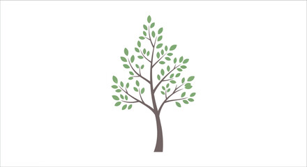 Fototapeta premium Minimalist Green Leafy Tree Illustration for Nature and Ecology Design Isolated on White Background