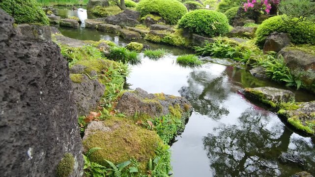 Silent rainy Japanese garden pond with mossy rocks and rippling reflections