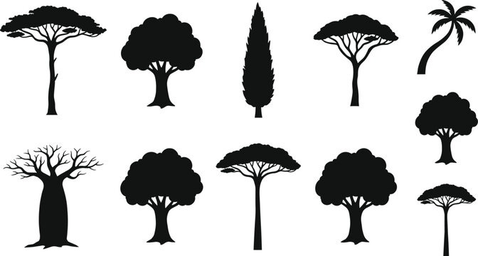 Tree silhouette set with acacia baobab cypress and palm trees nature vector collection