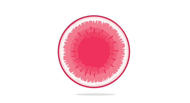 Abstract Pink Circular Illustration of a Stylized Fruit Slice or Biological Cell on White Background