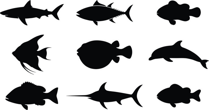 Marine animal silhouette collection with shark dolphin tuna and tropical fish isolated vector illustration set design