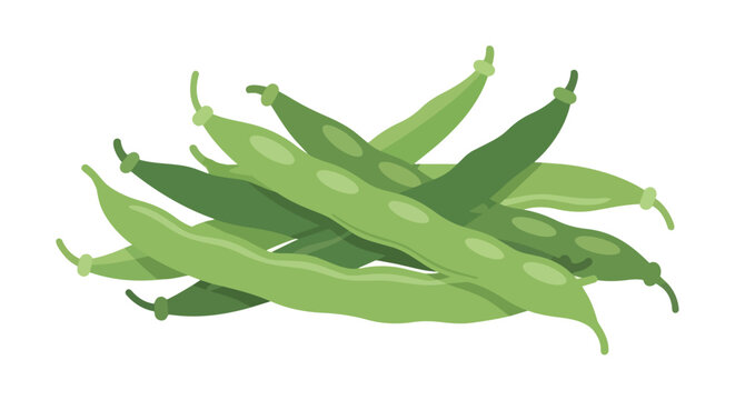 Fresh Green Snap Beans Heap Illustration Isolated on White Background