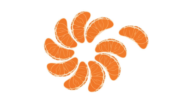 Mandarin Orange Segments Arranged in a Circular Pattern Illustration
