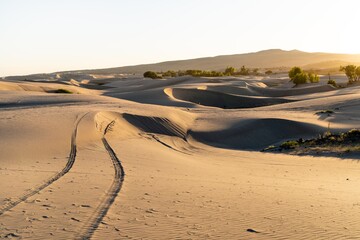 Tire tracks curve over the St. Anthony Sand Dunes in Idaho, glowing in warm golden light. The vast desert landscape with sagebrush stretches to distant mountains under a clear sky © Leonid Andronov