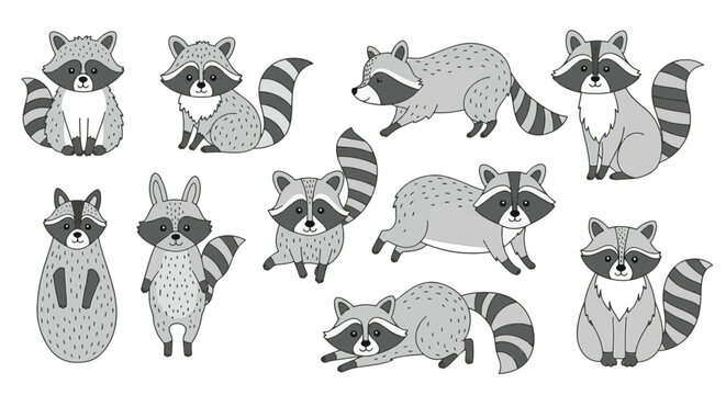 Collection of hand-drawn raccoon illustrations in diverse poses. Detailed sketches of cute forest animals including standing, sitting, and waving positions, vector art set on white.