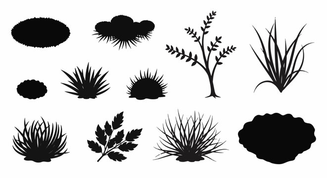 Set of Flat Black Moss Plant Silhouette Icons Featuring Various Species of Bryophytes, Forest Flora, and Greenery Elements for Nature Graphic Design and Botanical Illustrative Use