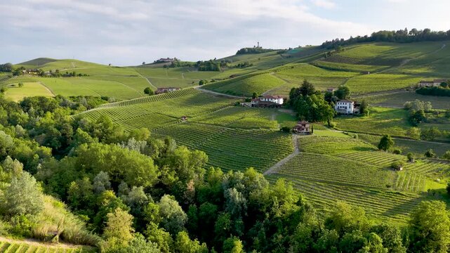 Aerial View of Rolling Barolo Vineyards in Piedmont Italy