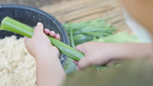 Cassava Suman Wrapped in Banana Leaves for Traditional Filipino Cooking