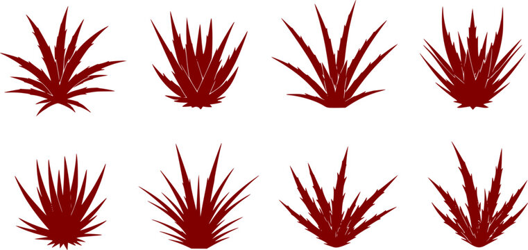 Eight distinct black silhouettes of stylized spiky plant like forms with varied sharp leaves, a clean flat vector, isolated on white background
