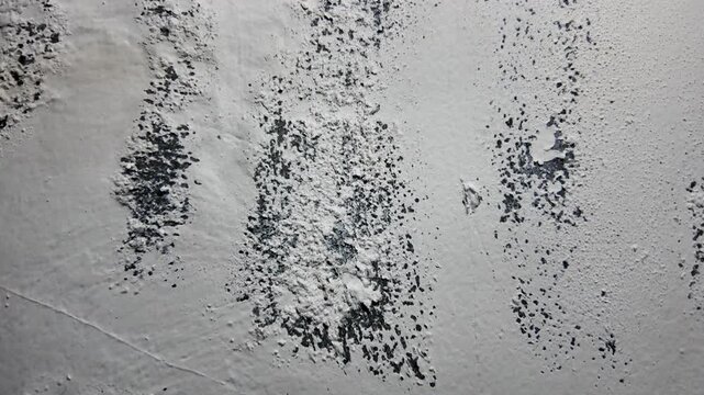Close Up of Damaged Wall with Bubbling Paint and Mold