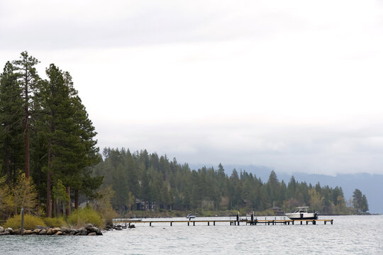 Pine trees along South Lake Tahoe with a small pier out into the water, a white boat docked in the bay.