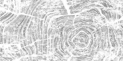 Log cut, wood texture, tree rings pattern, black and white, rough vector background © Valerii