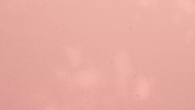 Abstract shadow pink premium gradation background texture blur gradient light pastel abstract luxury premium mockup peach color backdrop template valentine summer spring overlay mockup