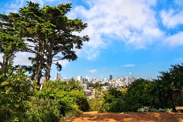 Obraz premium Scenic view of downtown San Francisco from Alamo Square Park, framed by lush greenery and iconic cypress trees under a bright summer sky