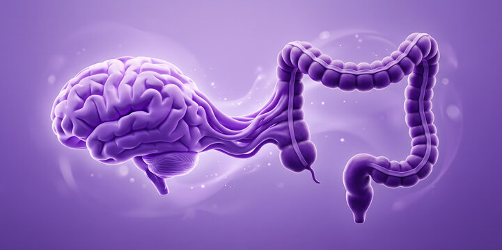Gut brain axis concept with brain connected to colon, digestive health and mental health relationship 3D medical illustration