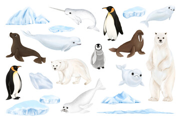 Arctic animals png sticker illustration, transparent background set © Rawpixel.com