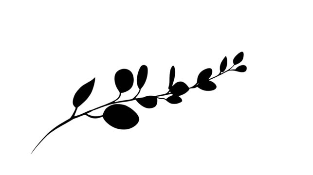 Minimalist Eucalyptus Branch Silhouette: A simple yet elegant silhouette of a eucalyptus branch, featuring rounded leaves, rendered in solid black against a clean white background.