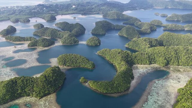 Shallow coral reefs thrive amid Palau's scenic Rock Islands. This extraordinarily beautiful island-nation is a popular destination for scuba divers, snorkelers, kayakers, and World War II historians. 