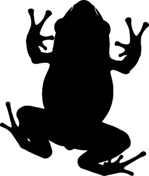 Solid black frog silhouette with splayed legs