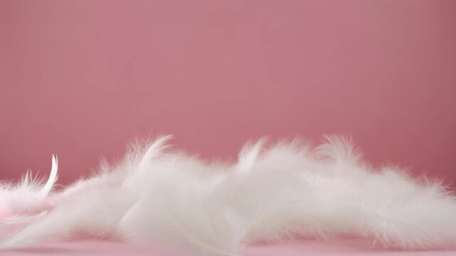 White Feathers Falling on Soft Pink Background 4K Generative AI