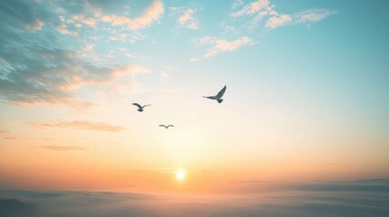 Obraz premium A calm morning with birds flying in the sky, representing freedom and vitality from a healthy lifestyle