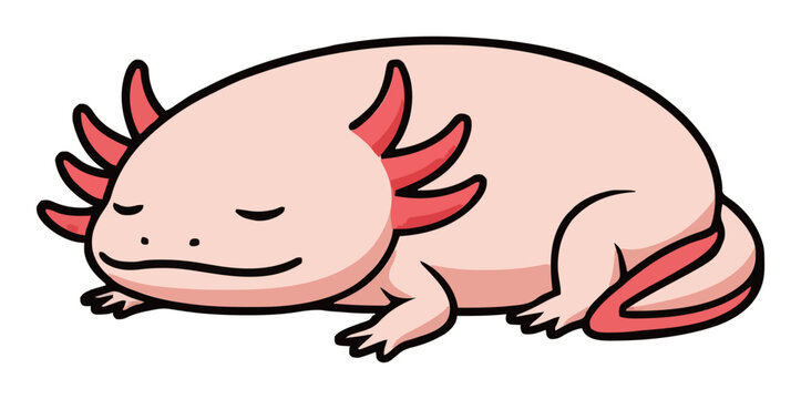 Cute sleeping axolotl salamander vector illustration. Generative AI