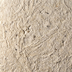 Naklejka premium Extreme Macro Close-Up of Recycled Paper Surface Showing Cellulose Fibers and Natural Texture