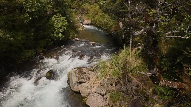 The Whakapapnui Stream, a fast-flowing, clear, mountain stream on the slopes of Mount Ruapehu in Tongariro National Park, New Zealand.