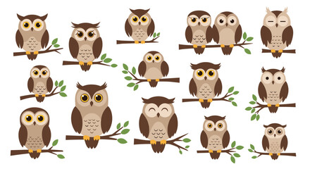 Fototapeta premium Large set of diverse owl characters perched on branches with different expressions and plumage patterns on a white background.