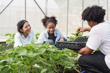 Naklejka premium Group of multiracial students sitting among vegetable plants smiling while participating in interactive organic farming class in greenhouse learning how to grow food together at school