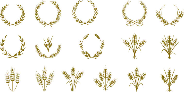 Wheat wreaths and grain spikes set icons - Vector Stock 