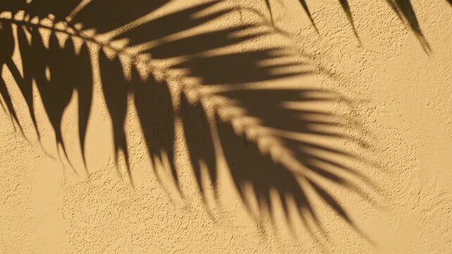 Palm leaf shadow on textured wall highlighting vibrant colors and contemporary design