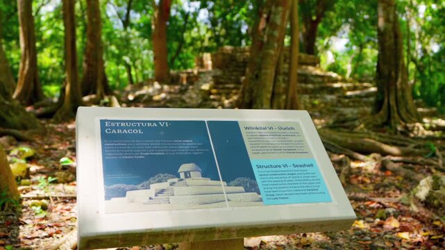 Smooth focus pull revealing the ancient Mayan Structure VI, also known as El Caracol, at the Oxtankah archaeological site, surrounded by vibrant jungle foliage and an informative sign.