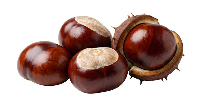 Four chestnuts with one cracked open showing the inner shell and kernel on a white background