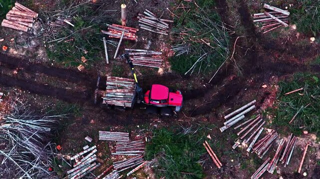 Tractor hauling lumber logs through a clear-cut area, deforestation in aerial overhead view