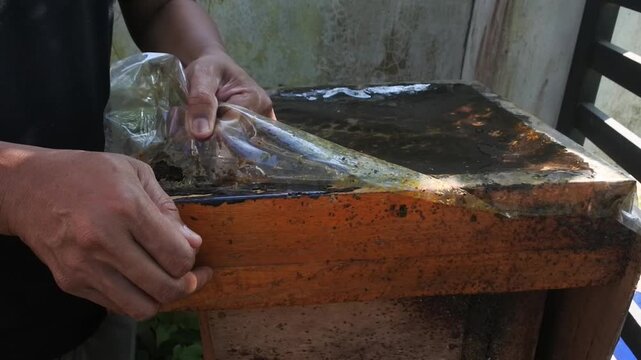 A beekeeper gently opens the plastic cover of a wooden hive box to check and harvest organic propolis and honey from a stingless bee colony.