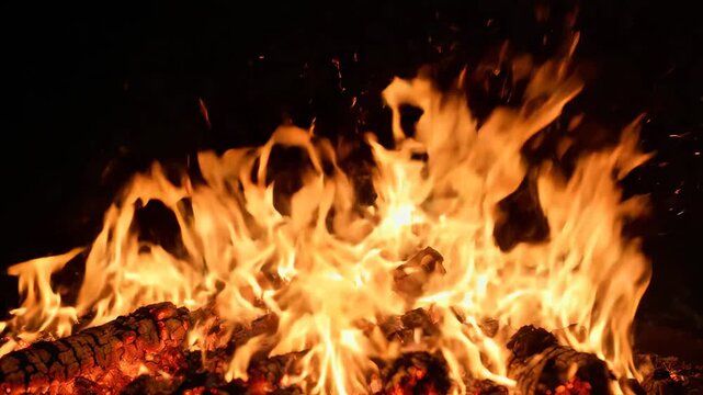 Burning wood fire with flames highlighting vibrant colors and contemporary design