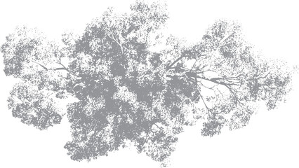 Natural evergreen tree outlines for landscape architecture © VECTOR HOUSE