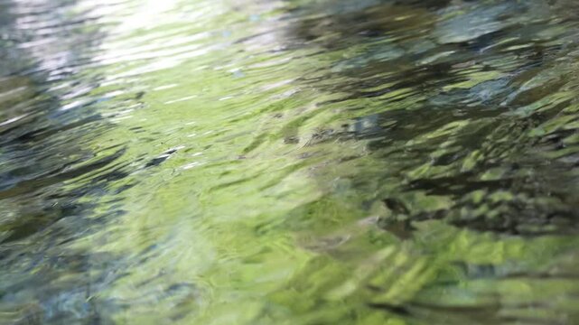 Silent abstract green reflections on clear mountain stream water with small whirlpools