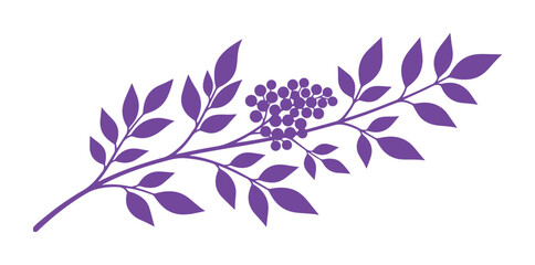 Elegant purple berry branch vector illustration, botanical design element, natural foliage graphic, decorative floral accent for branding and web © Jamie