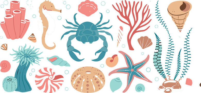 "Hand-drawn Vector Collection of Marine Life Elements Including Coral, Crab, Seahorse, and Shells in Soft Colors"