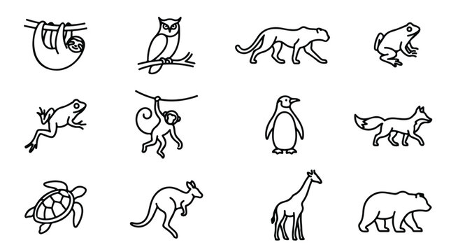 Minimalist animal line icons set, black outline wildlife vector illustrations, collection of 12 modern zoo and nature animal symbols for web design