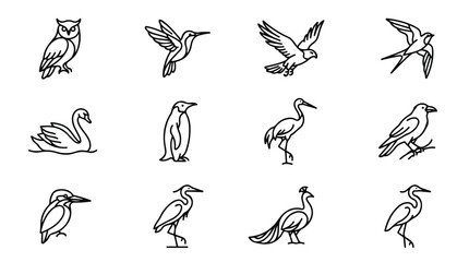 Fototapeta premium Minimalist bird line icons set, 12 black and white avian vector illustrations, modern geometric bird silhouettes for branding and logo design
