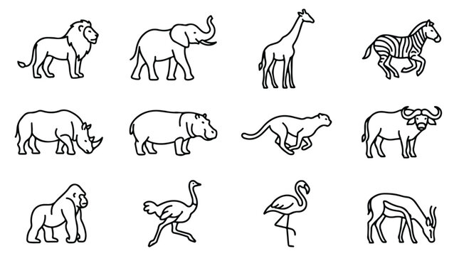 African safari animal icons set, 12 minimalist wildlife line art vectors, black and white savanna zoo animals for educational design and logos