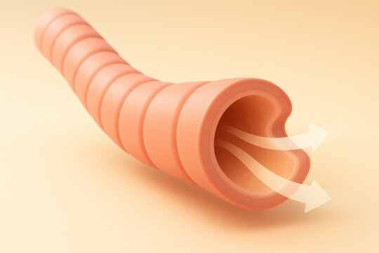 Medical cutaway of constricted bronchiole, showing slow airflow through narrowed lumen. coral tone and soft glow lighting convey concerning sense of respiratory distress