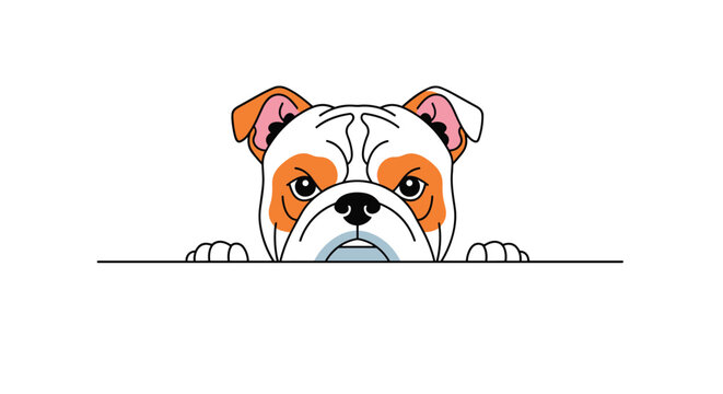 Grumpy bulldog with orange patches peeks over a horizontal line with a serious and slightly angry facial expression.